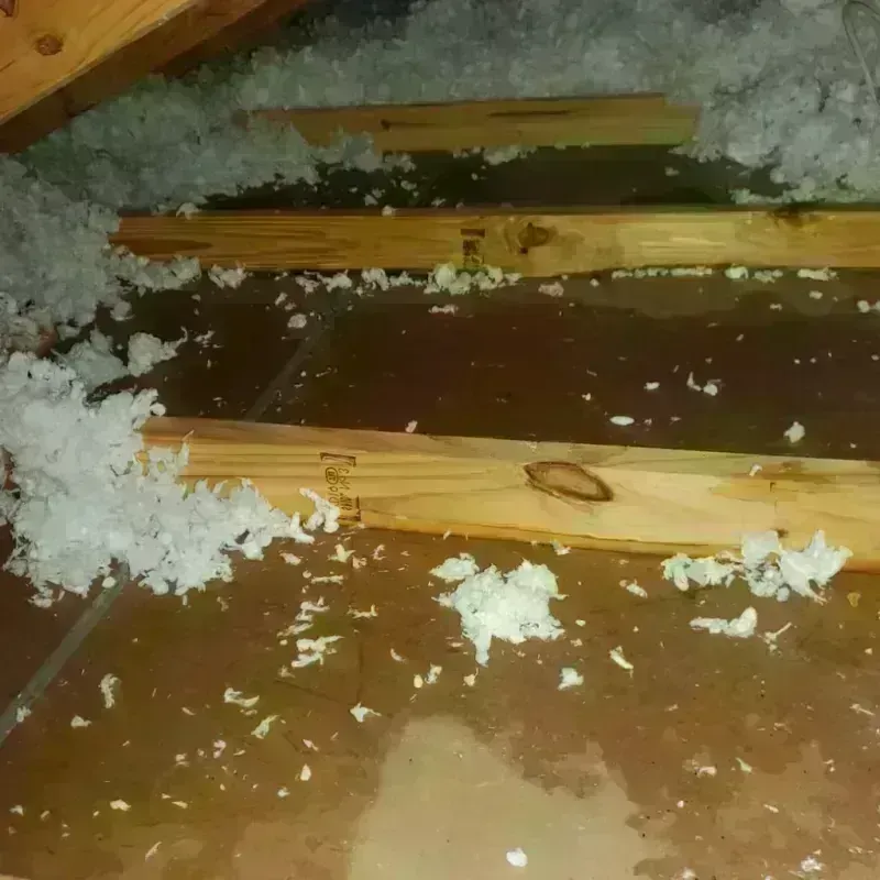 Attic Water Damage in Bottineau, ND